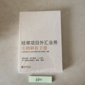 经常项目外汇业务实例解析手册