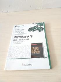 高效机器学习：理论、算法及实践