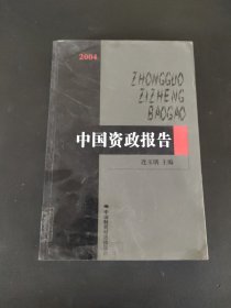 2004中国资政报告