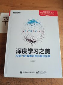 深度学习之美：AI时代的数据处理与最佳实践