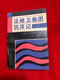 汪精卫集团沉浮记