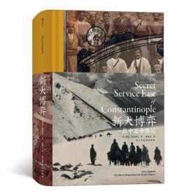 汗青堂丛书062·新大博弈：一战中亚争霸记