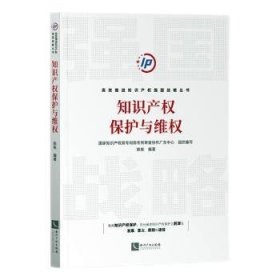 知识产权保护与维权/高效推进知识产权强国战略丛书