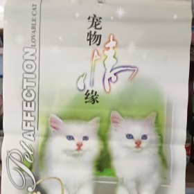 2003年挂历《宠物情缘》，完整