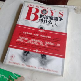 THE MINDS OF BOYS 男孩的脑子想什么