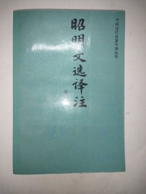 昭明文选译注第一册