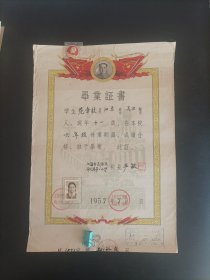 1957年上海市邑庙区丹凤路第一小学毕业证书