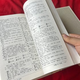 汉语大字典:简编本（1）