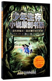 迷失断裂谷黑龙潭的惊天机密/少年生存小说原创书系 9787539796062