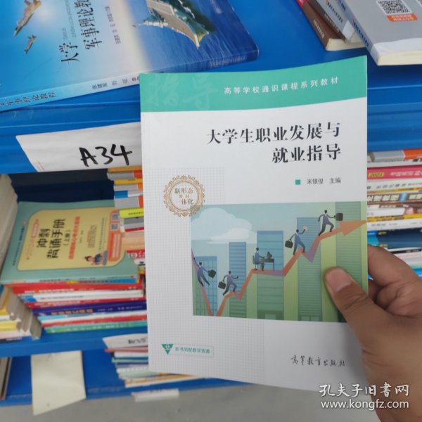 大学生职业发展与就业指导/高等学校通识课程系列教材