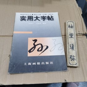 实用大字帖：唐孙过庭《书谱》选字本