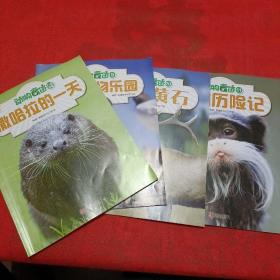 动物奇迹（2020年）：7-8合辑、撒哈拉的一天，9、奇异动物乐园，10、狂野黄石，11、雨林历险记 4本合售