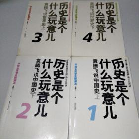 历史是个什么玩意儿1/2/3/4
袁腾飞说中国史 上下 世界史 上下册