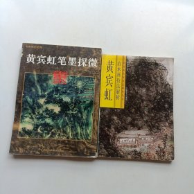 黄宾虹山水画技法解析 黄宾虹笔墨探微 两本合售 (实拍)