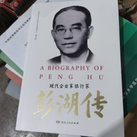 现代企业家银行家彭湖传