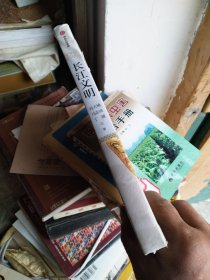 长江文明