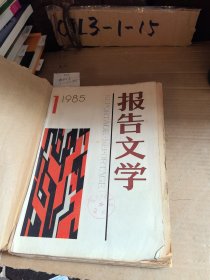 报告文学19859（1-6）合订本合售