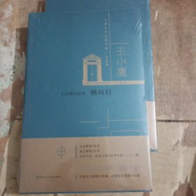 王小鹰自选集：懒画眉