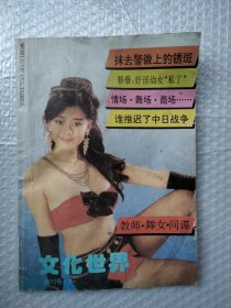 《文化世界》试刊号2（非创刊号，1993）