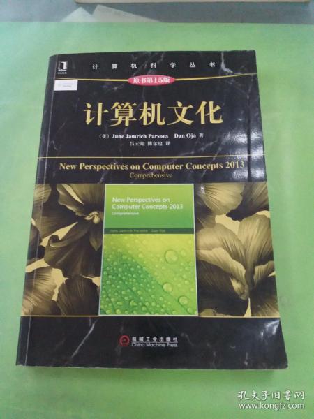 计算机科学丛书：计算机文化（原书第15版）