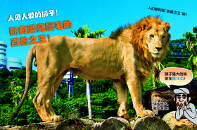 动物园里的大明星：狮子 9787559123626