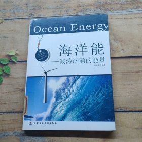 海洋能：波涛汹涌的能量