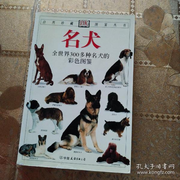 名犬：全世界300多种名犬的彩色图鉴