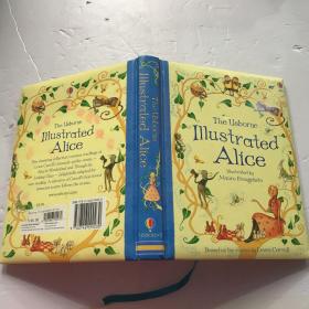 The  usborne lllustrated alice