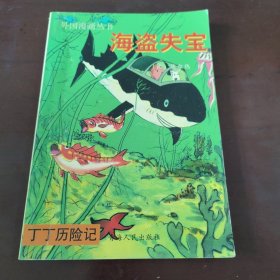 丁丁历险记：海盗失宝