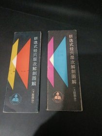 折迭式推拿穴位层次解剖图解. 上肢部分 下肢部分