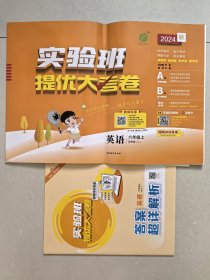 实验班提优大考卷（英语六年级上册）YL
