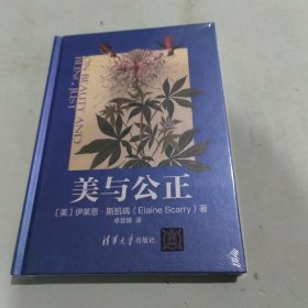 美与公正