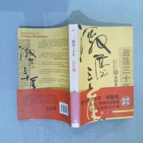 激荡三十年：中国企业1978-2008下