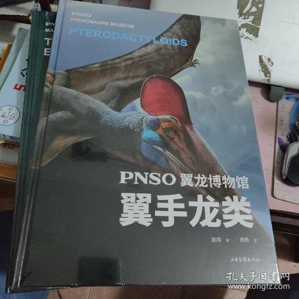 PNSO翼龙博物馆.翼手龙类（科学艺术家赵闯大成之作，再现翼龙称霸天空的史前时代，实现纸上观展体验，让孩子把翼龙博物馆搬回家）