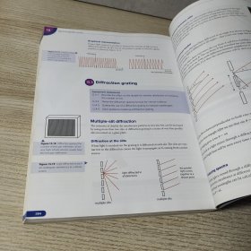 Pearson Baccalaureate: Standard Level Physics for the IB Diploma (英语)