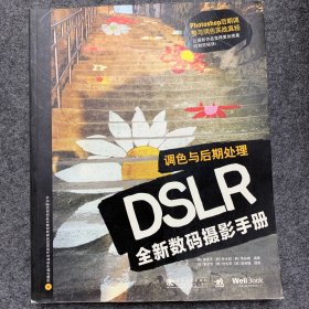 DSLR全新数码摄影手册：调色与后期处理