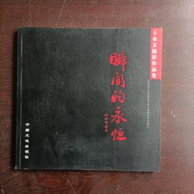 瞬间的永恒:王金文摄影作品集