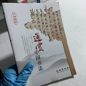 中国历代文化艺术丛书 通赏中国书法