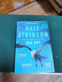kate atkinson  big sky