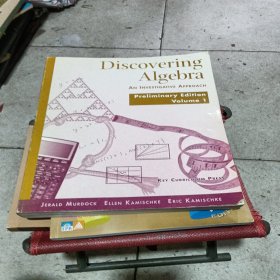 Discovering Algebra发现代数