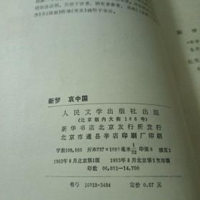 新梦哀中国