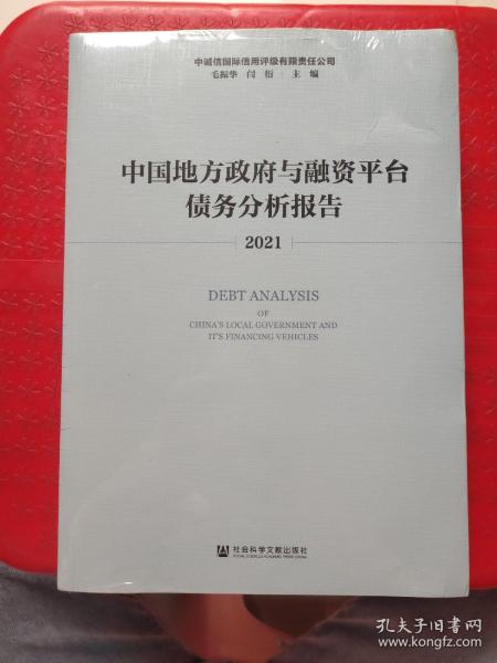 中国地方政府与融资平台债务分析报告（2021）