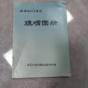 石油化工工业炉 烧嘴图册