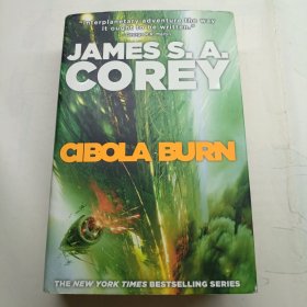 Cibola Burn