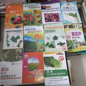 新农业技术：【木本植物组织培养技术及应用/良种核桃嫁接苗繁育技术/经济林优质丰产栽培新技术/食用菌标准化生产技术/大棚芸豆高效栽培技术/安全西葫芦高效生产技术/韭菜无公害标准化栽培技术/图说银杏高效栽培技术/一地多种农作物高效种植模式/河南中草药种植精选（薄荷 绞股蓝）/杨梅优质丰产栽培技术】11本合售