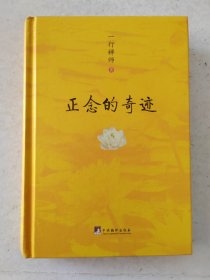 正念的奇迹 一行禅师 是现代的佛教禅宗诗人 人生哲学心理学舍得放下 中央编译出版社