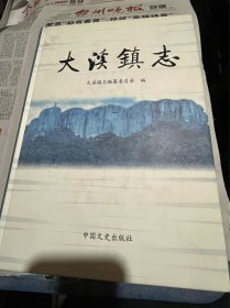 大溪镇志