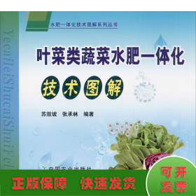 叶菜类蔬菜水肥一体化技术图解