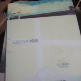 无处安放的婚姻