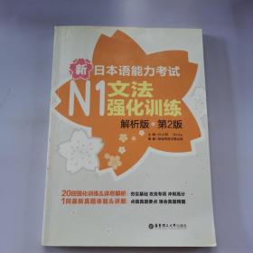 新日本语能力考试：N1文法强化训练（解析版）（第2版）